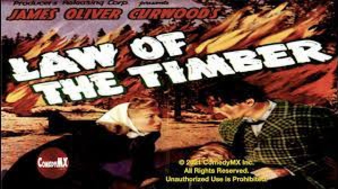 ⁣Law of the Timber (1941)