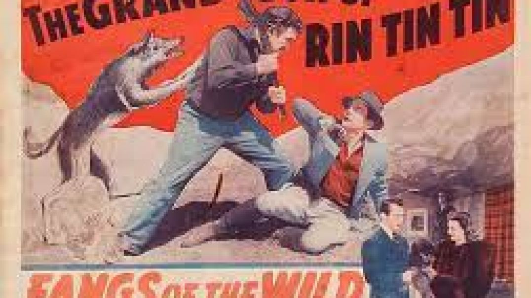 ⁣Fangs of the Wild (1939)