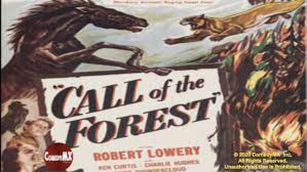 ⁣Call of the Forest (1949)
