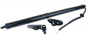 Liftgate Lift Support