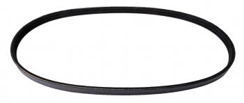 Serpentine Belt