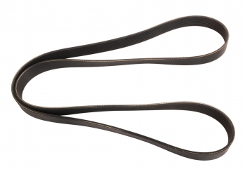Serpentine Belt