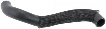 Radiator Coolant Hose