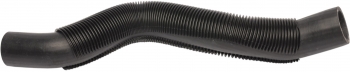 Radiator Coolant Hose