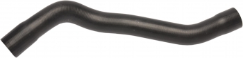 Radiator Coolant Hose