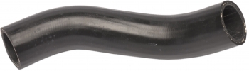 Radiator Coolant Hose