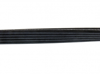 Serpentine Belt