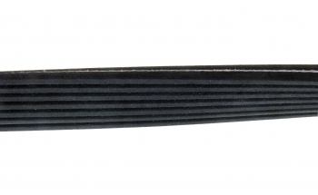 Serpentine Belt