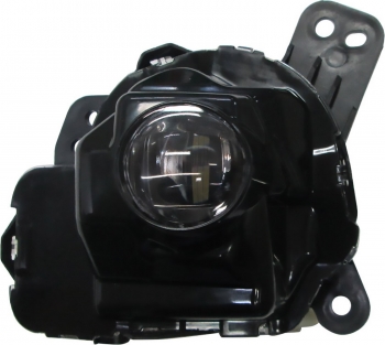 Fog Light Assembly