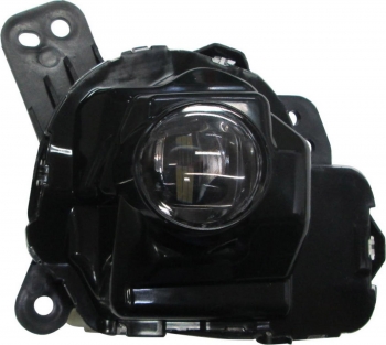 Fog Light Assembly