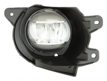 Fog Light Assembly