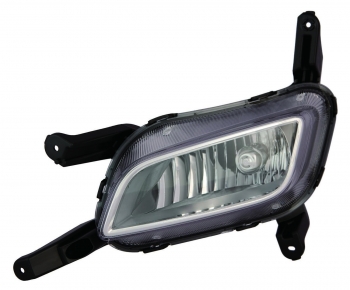 Fog Light Assembly