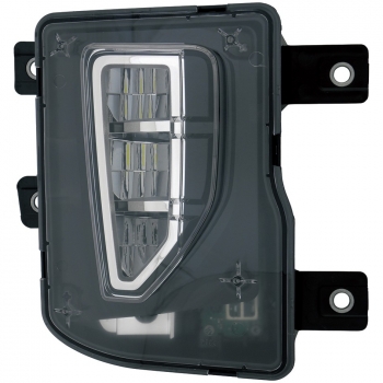 Fog Light Assembly