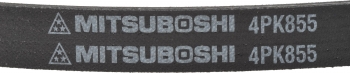 Accessory Drive Belt