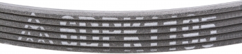 Accessory Drive Belt