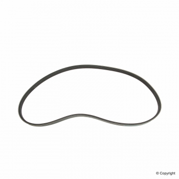 Serpentine Belt