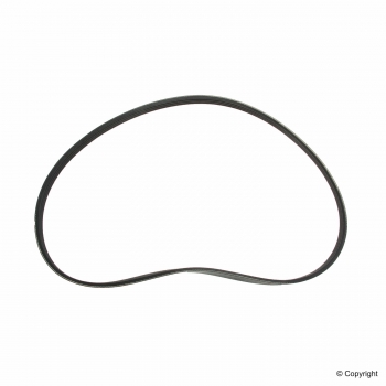 Serpentine Belt
