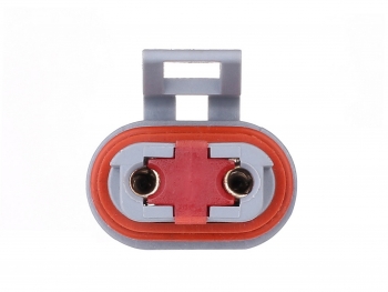 Window Motor and Regulator Assembly