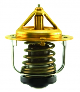 Engine Coolant Thermostat