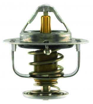 Engine Coolant Thermostat