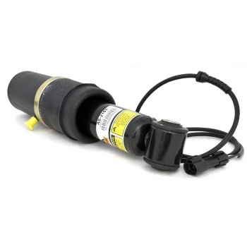Air Shock Absorber
