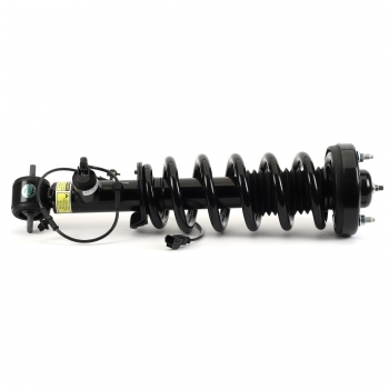 Suspension Strut and Coil Spring Assembly