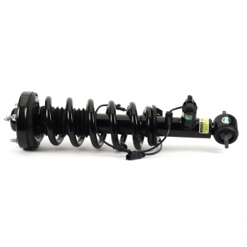 Suspension Strut and Coil Spring Assembly