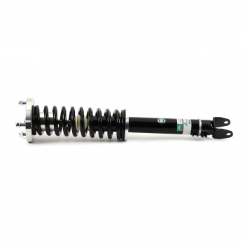 Suspension Strut and Coil Spring Assembly