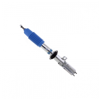 Suspension Strut Assembly