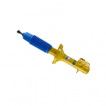 Suspension Strut Assembly