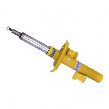 Suspension Strut Assembly