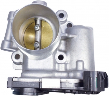 Fuel Injection Throttle Body Assembly