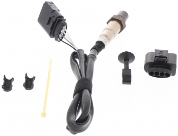 Oxygen Sensor