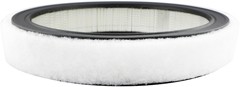 Engine Air Filter