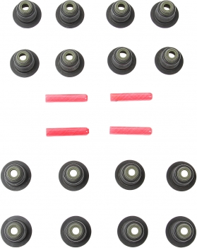 Engine Valve Stem Oil Seal Set