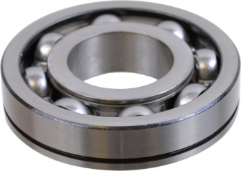 Transfer Case Output Shaft Bearing