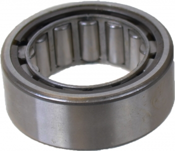 Differential Pinion Pilot Bearing