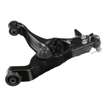 Suspension Control Arm and Ball Joint Assembly