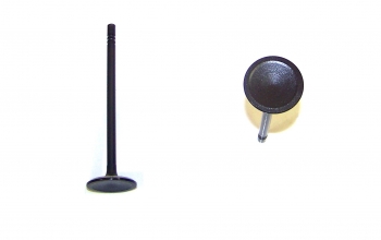 Engine Intake Valve