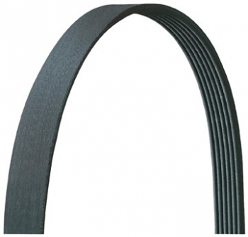Serpentine Belt