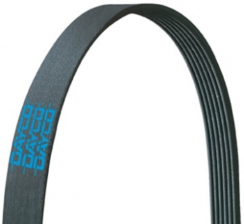 Serpentine Belt