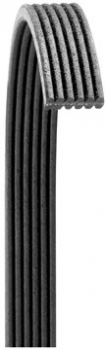 Serpentine Belt