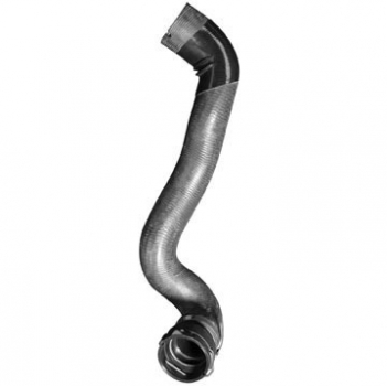 Radiator Coolant Hose