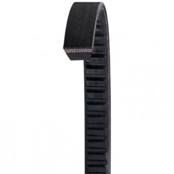 Accessory Drive Belt