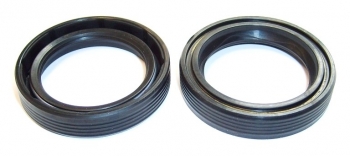 Engine Crankshaft Seal