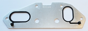 Engine Oil Cooler Gasket
