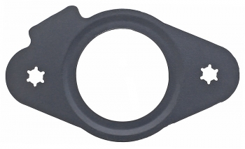 Fuel Pump Tank Seal