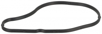Engine Timing Cover Seal