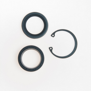 Steering Gear Pitman Shaft Seal Kit