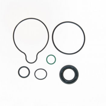 Power Steering Pump Seal Kit